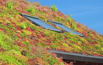 Oxspring living roof systems